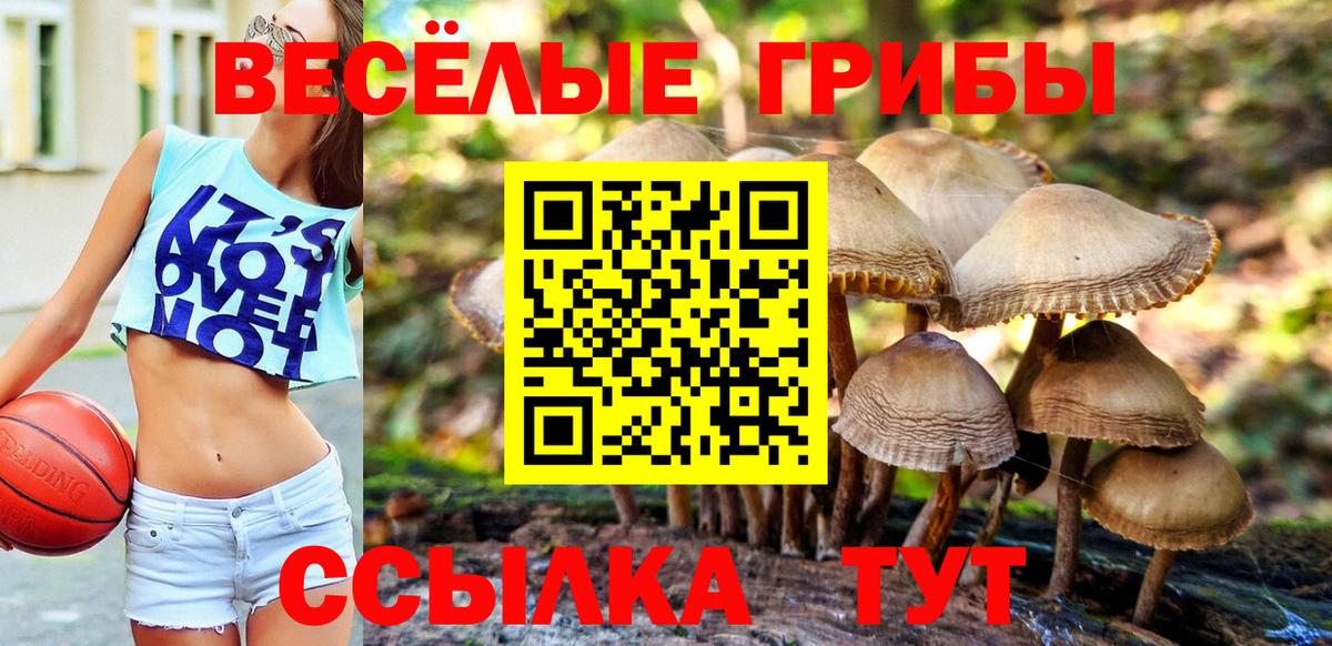 Калач-на-Дону  Псилоцибиновые грибы GOLDEN TEACHER  Псилоцибиновые грибы MAGIC MUSHROOMS  Вход с VPN 