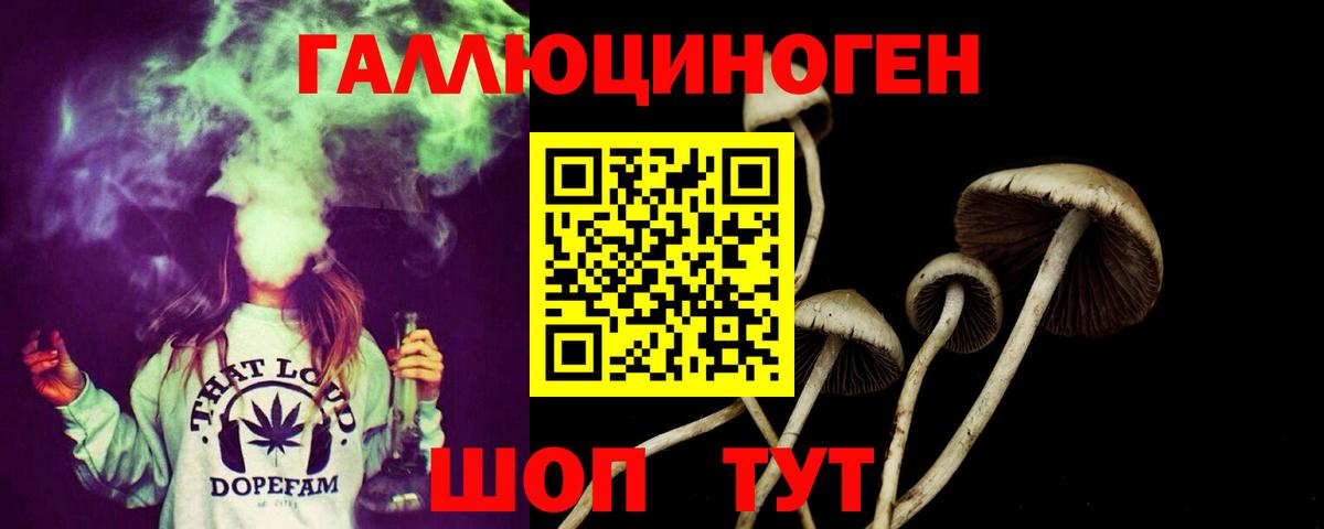 Псилоцибиновые грибы Psilocybe Калач-на-Дону